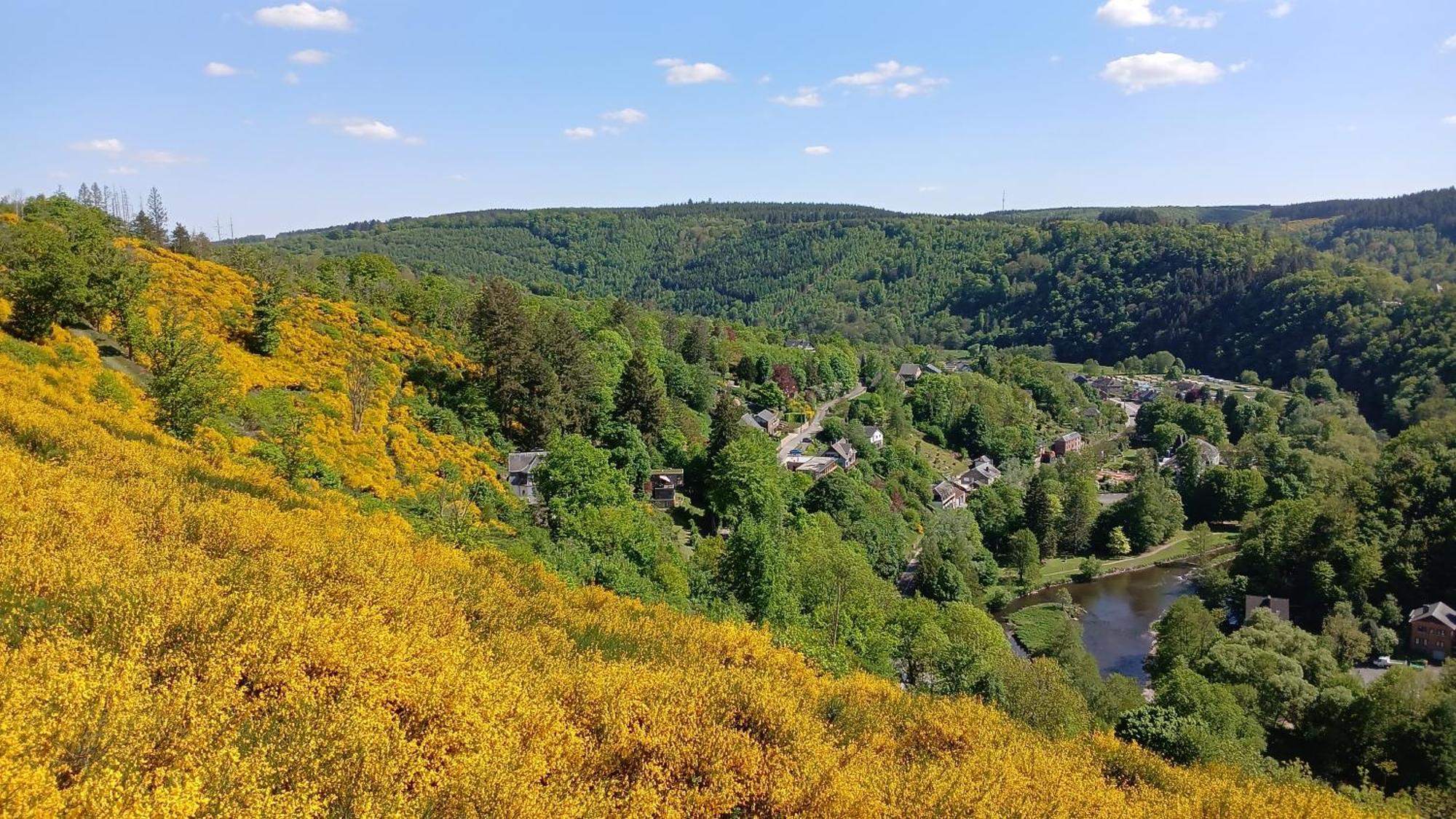 L'Abri Apartment La-Roche-en-Ardenne Bagian luar foto